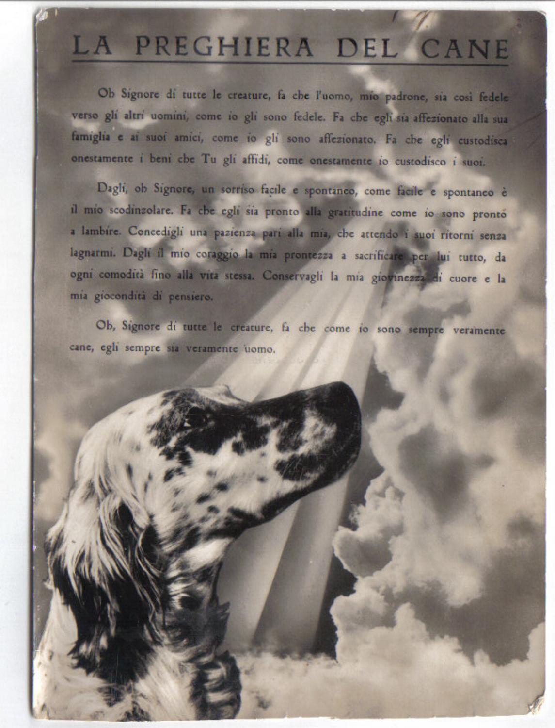 oggi, nel pomeriggio...